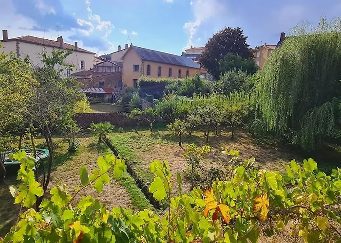 Les Hauts De St Jacques Maison D'exception 300m2, Jardin Arbore 2000m2 Pouzauges