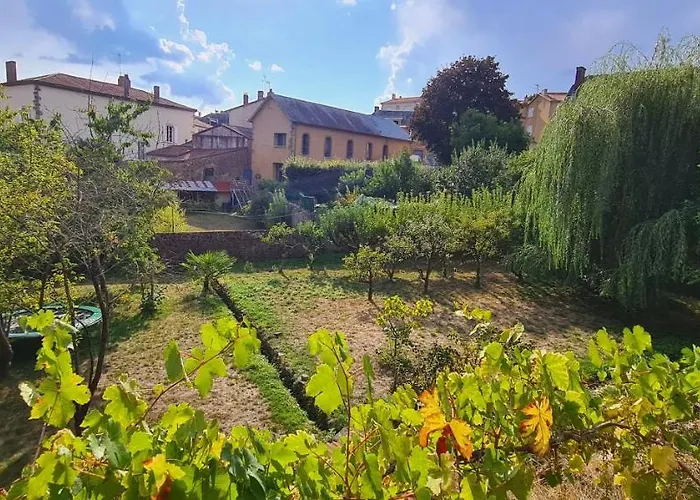 Les Hauts De St Jacques Maison D'exception 300m2, Jardin Arbore 2000m2 *